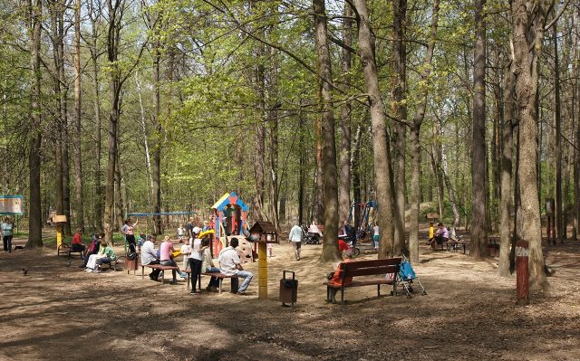 � ������������� ��������� ������ �������� ������������ "�������"