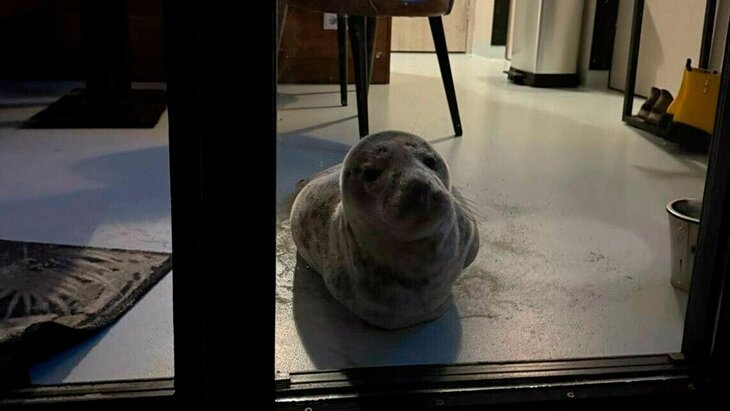 ������ ����� � ����������� ���������� ������ � ����� ������