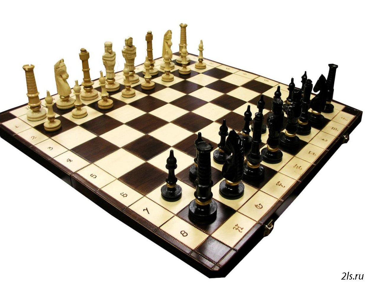 ����������! ��� ���� � ��������