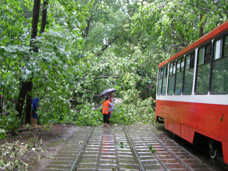 � ������ ������� �� ������� ����� ������