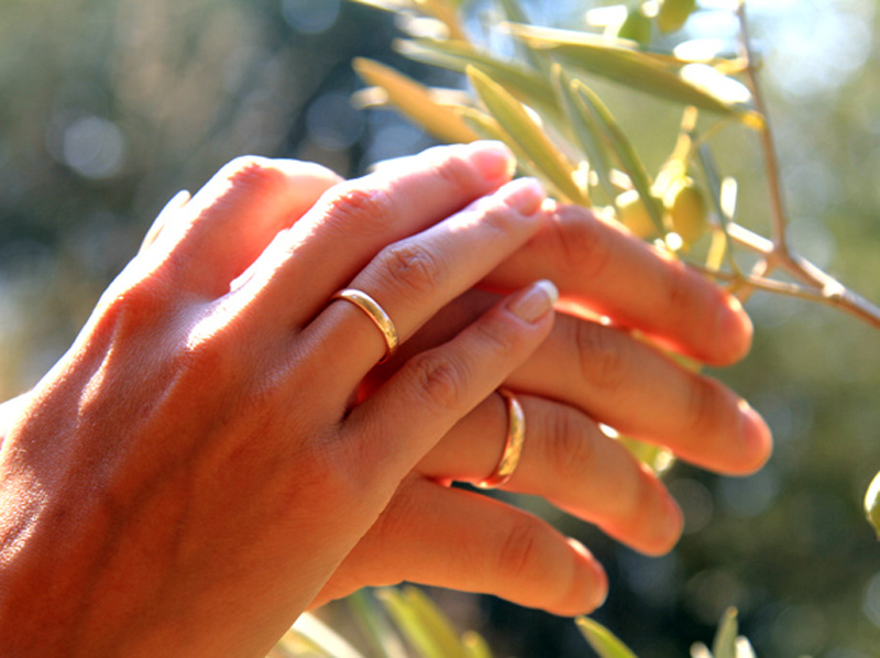 � ������� ����� ��������� ����� ����� ��� ��������