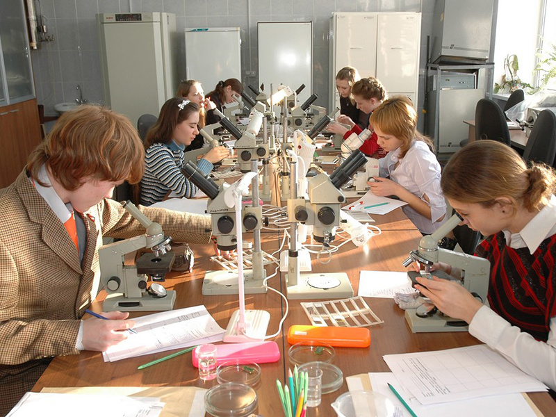 ������������ ����� �1223 ������ ������� ������ ������� � ������������� ���������