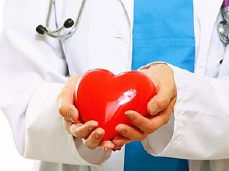 �  ��������������� ��������� ��� �81 ������� �����������, ����������� ������ � ��������� ������