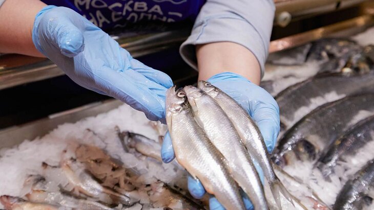 ����� ������� ��������� �� ������ ������ "������ � �� �����"