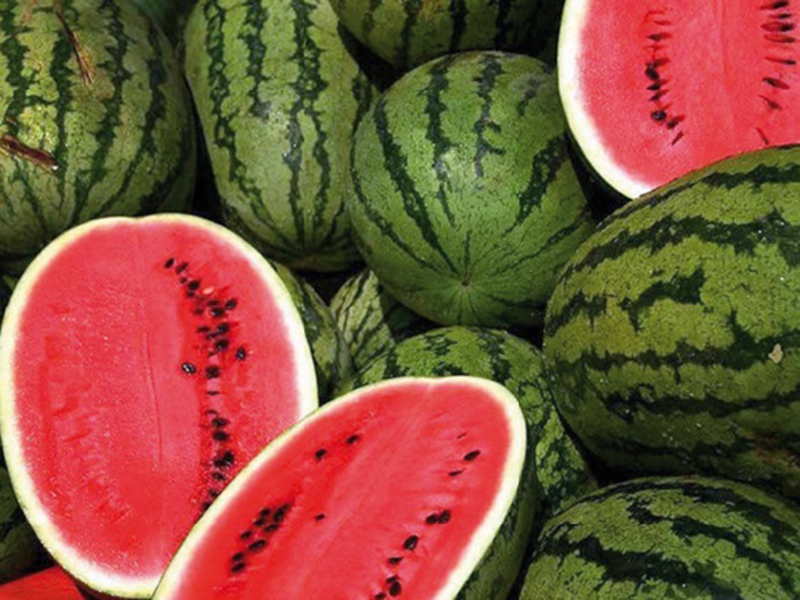 � ������ ������� �������� ��� �������� �������