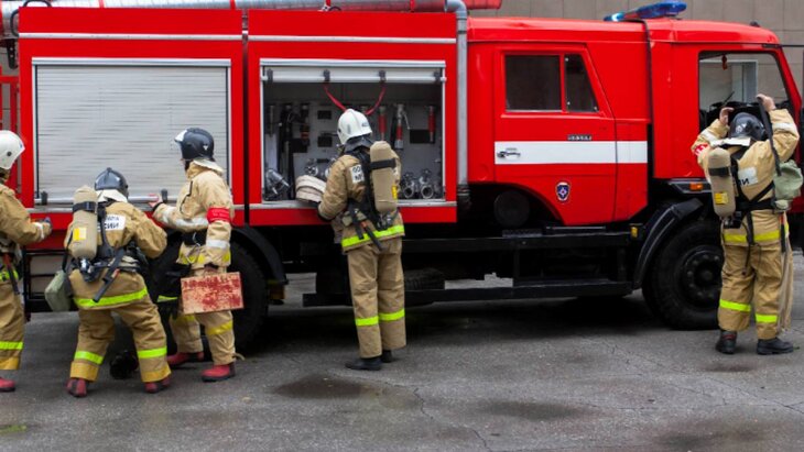 ���������� ����������� ������ ����� �� ������ ������