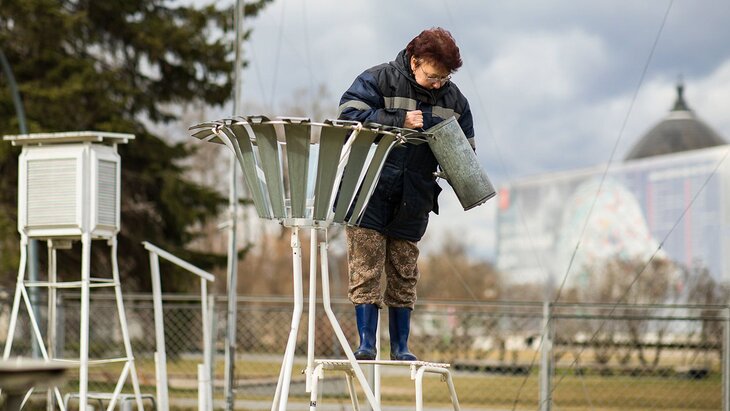 ������ ������ ���������, ��� �������� ������� ������������ �������