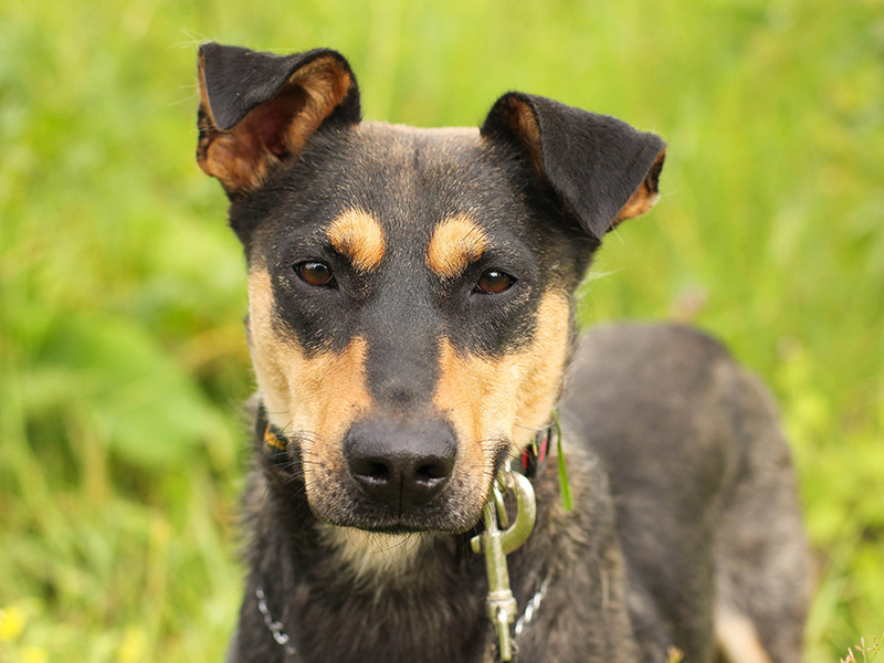 ��� ����� ����� ����� ��������� ������