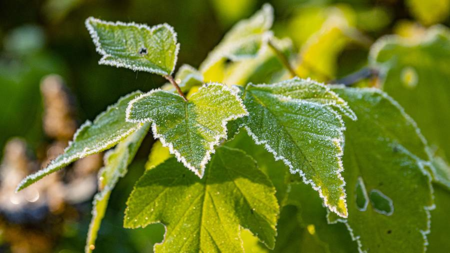 ������� ���������� ������� ������������ � ���������� � 12 �� 14 ���