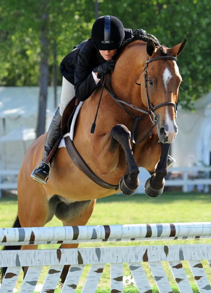 ���������������: �����-���������� �������