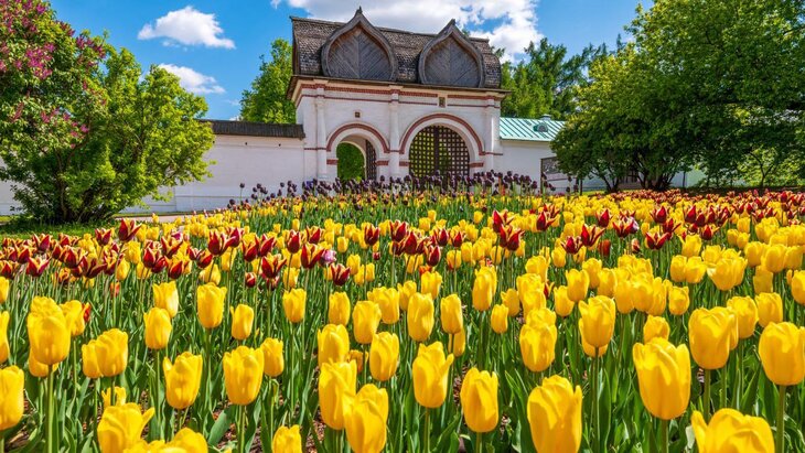 ������� ��������� ��������� � ���������� ����� � �����