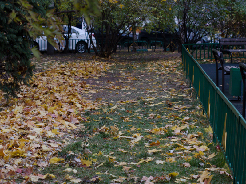 ����� ����� �� ������ ������ � ��������� ����������