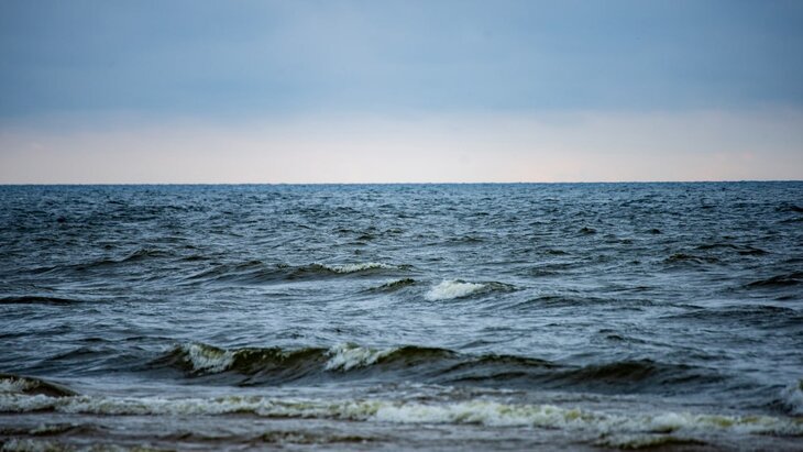 "����������" ������� � ����������� ������ ������ � ���������� ����