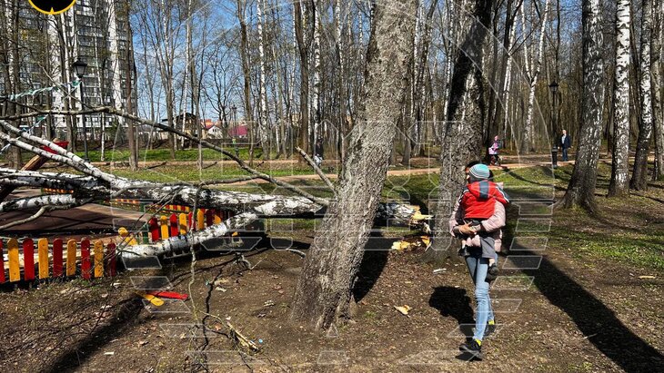 ������� � ����������� ���������� ��� ������� ������