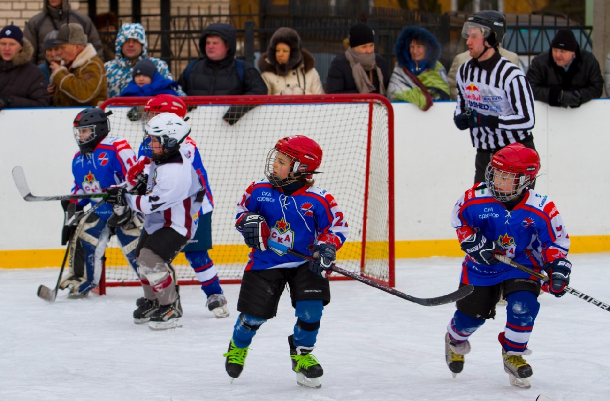 ��� ������