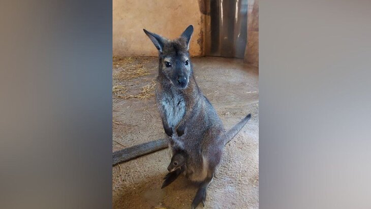 ��������� ������� ��������� �� ����� ��� � ������������� ��������