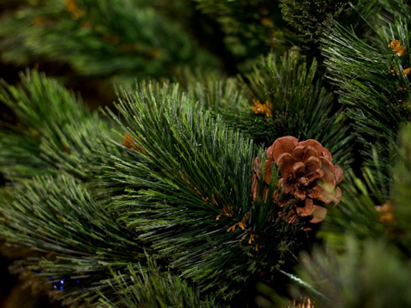 ������ ������ ���������� �������� ����� ��������� � ������