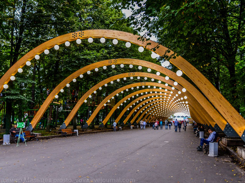 � ����� ����������� ����������� ������������ �������� XIX 