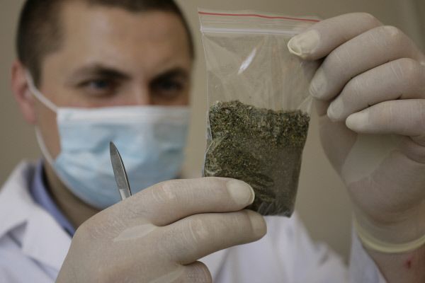 ������ ���� ������� �������