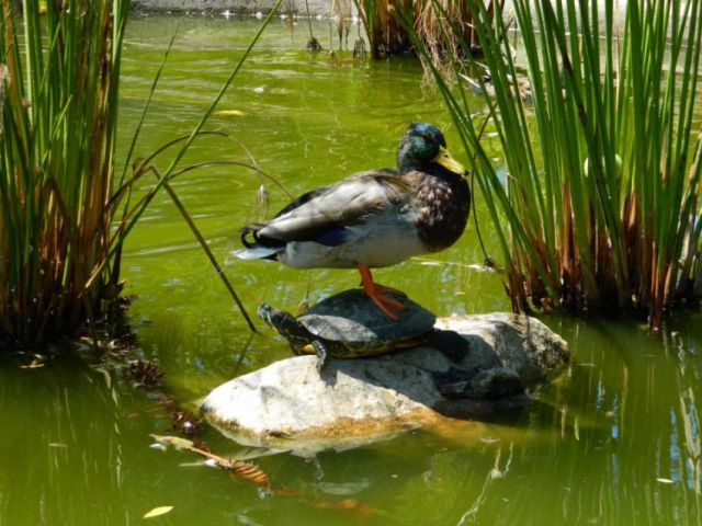 � ������� ��������� � ����� �������� ���� �������� ������� � ������ �����