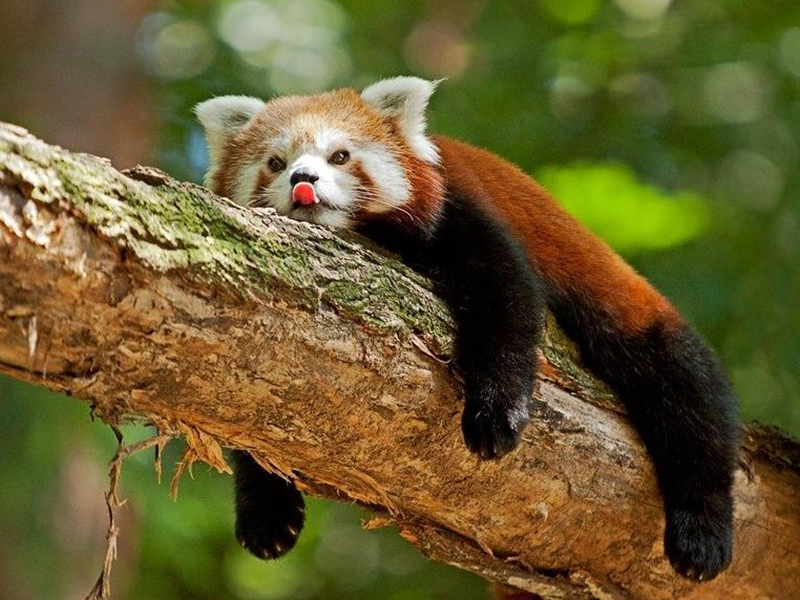 � ���������� ������� �������� ����� ������� �����