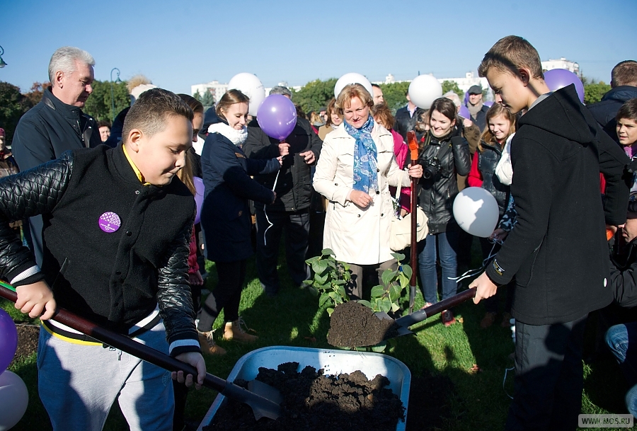 ������ ������� ������� ������� � ������������ ��������� ����