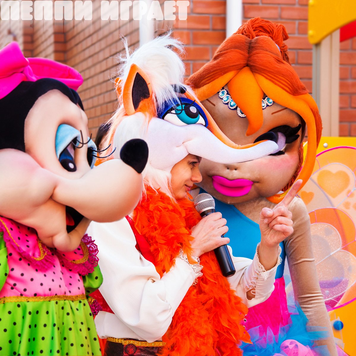 ���� ������ � �����������