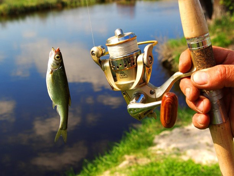 ������� ������ ������� ���������� ������������� � ���������� ��������� �������� �����