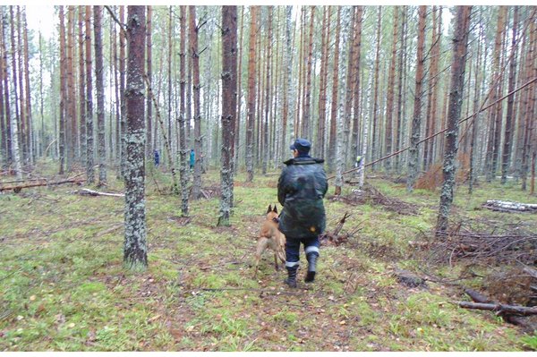 ��������� �� ��� �� ����� ������ ���������