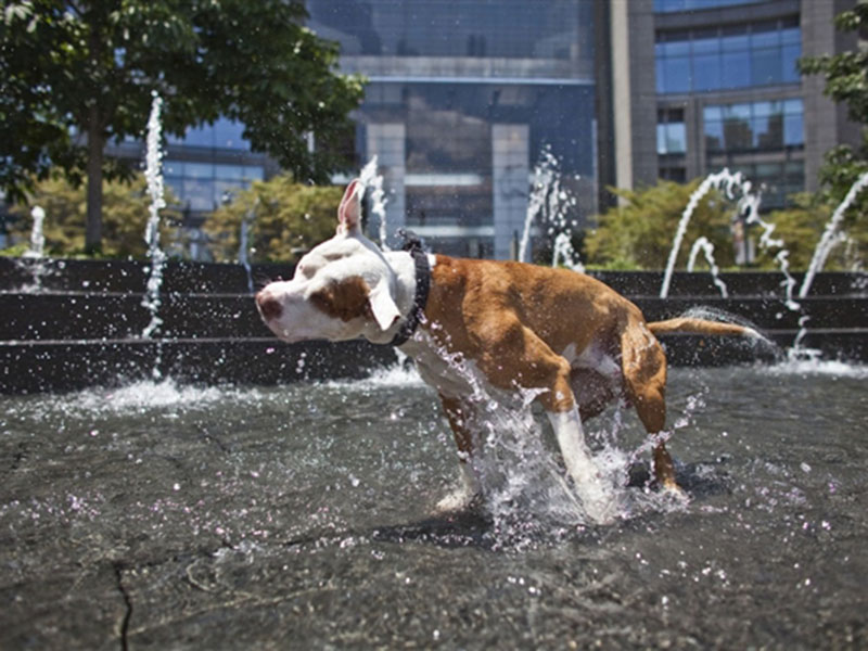 ������� ����� ������������� � ���, ��� ��������� �� ��������� � ����