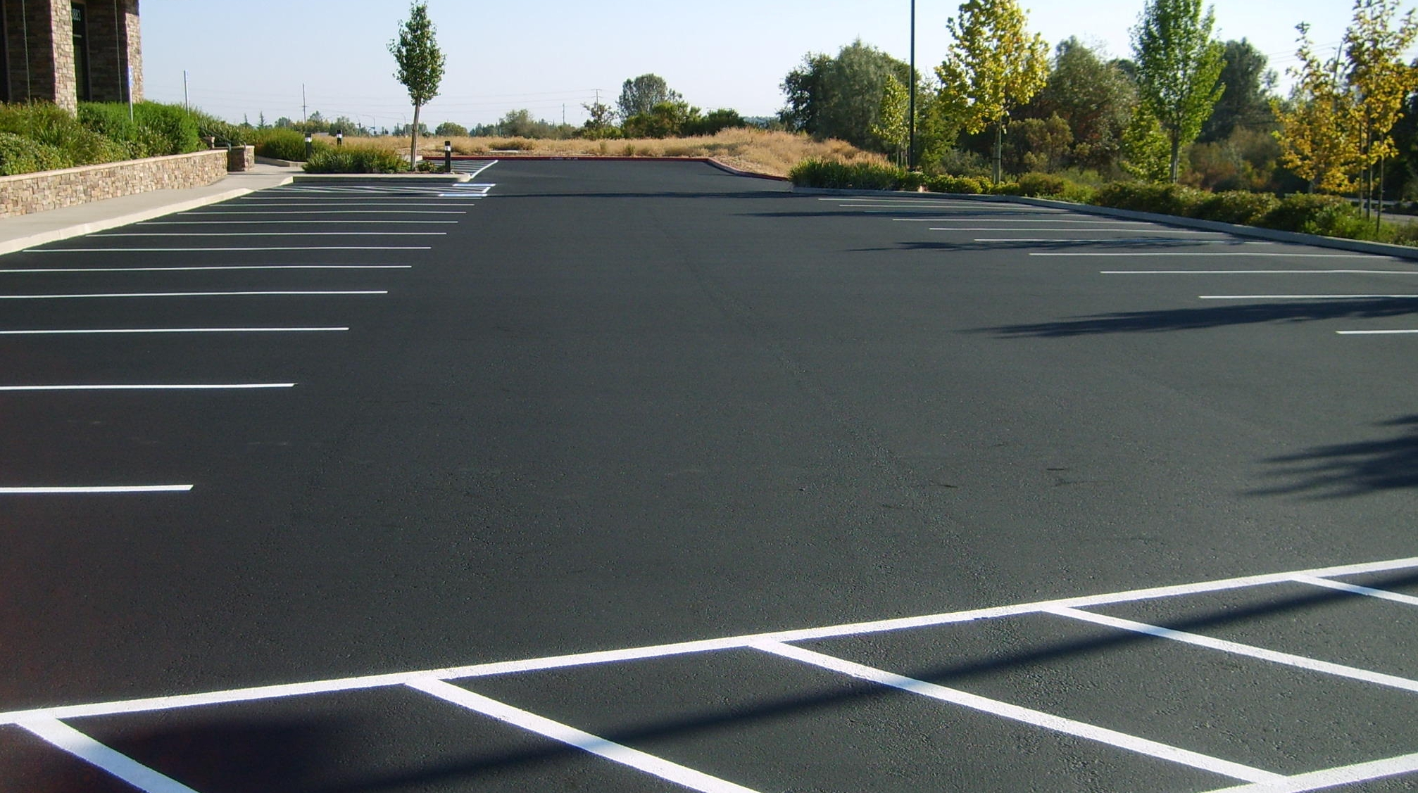 ��������� ���� ������ � �����������