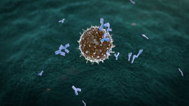 ���� �������� ������ �� ���������� ������� ��� ����������� COVID-19 � �����������