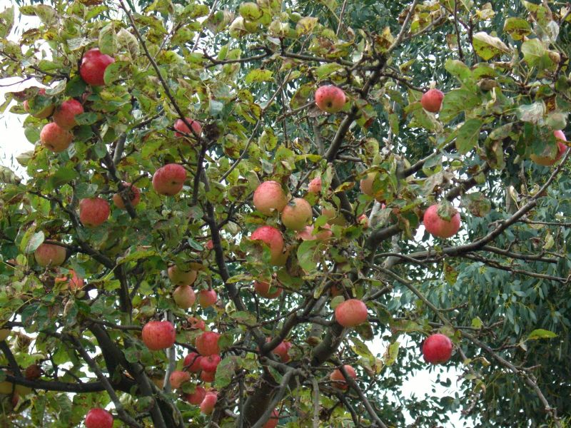 ������ � ����� ��� ����� �� �������