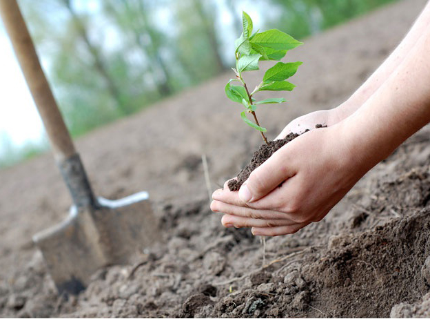 �������� ������� � ������ ����� �������� �������� ����� ��������� ��� � 72 ������ ���