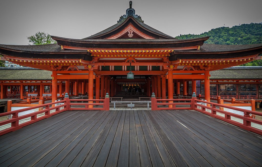 �����������: "���-�����������" ������������