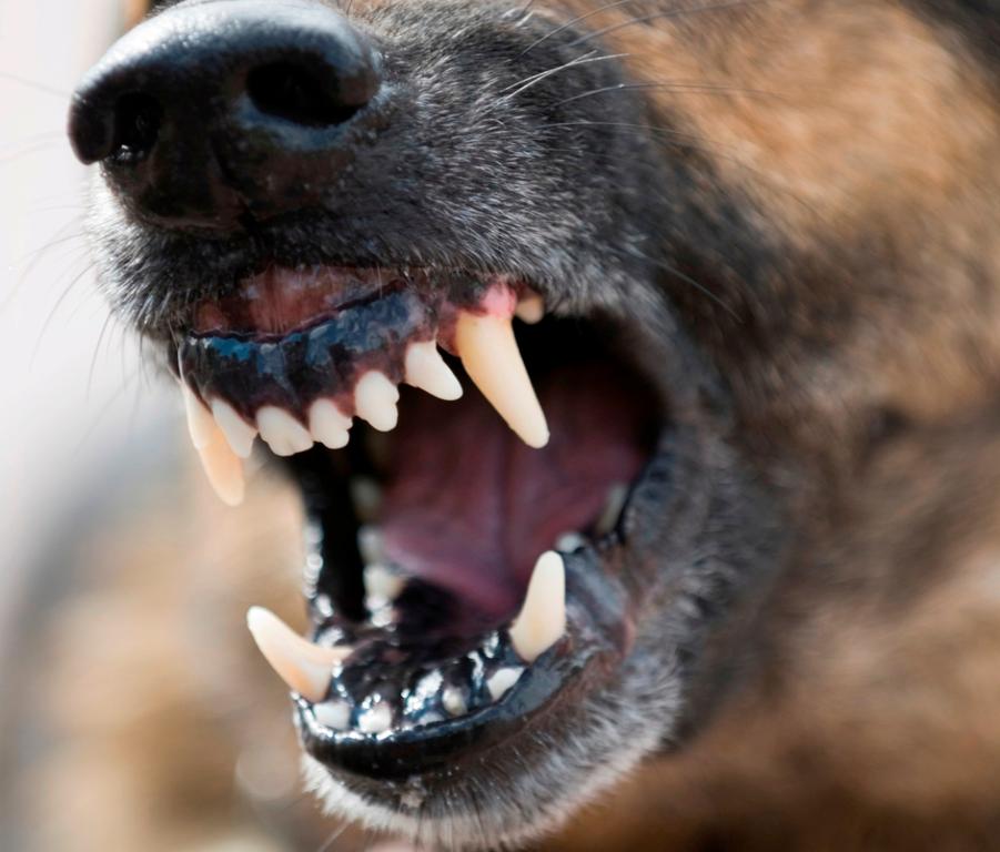 � ������ ������ �������� ������� �������