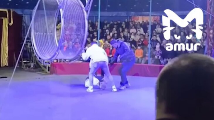 � ����� "��������" ���������� � ��������� �������� � ������ �������