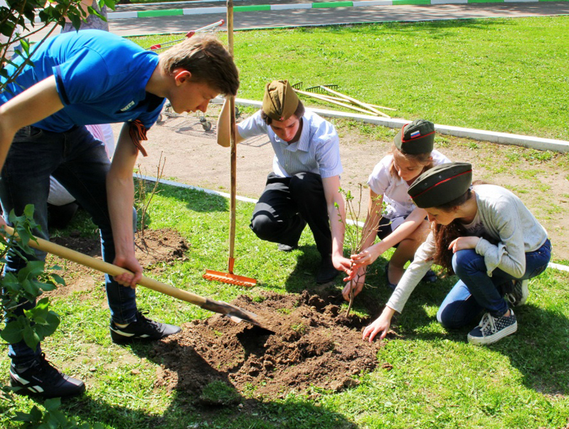 � ������ ������� ���������� ����� ������ �������