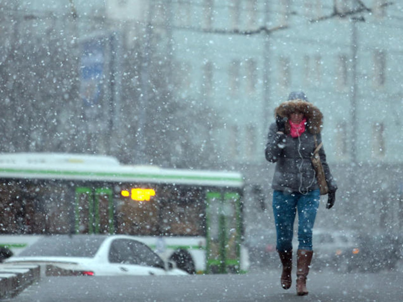 ������� ������� ������� �������� ������������