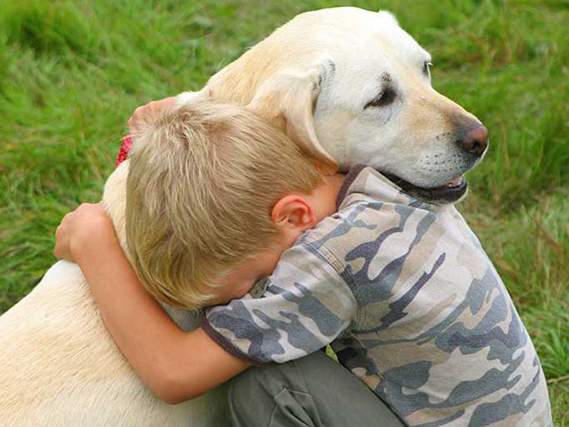 � ������ ���������� ��� �������� �������� �� ���������� ������ ����������-������� ��������� ������� �������� ��������