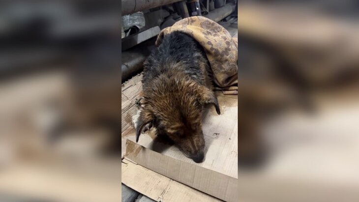 � ����������� ������ ������������� ��� ��� ������