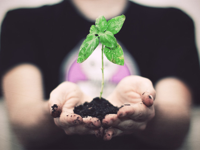 � ������ � 2016 ����������� ����� "������� ��������"