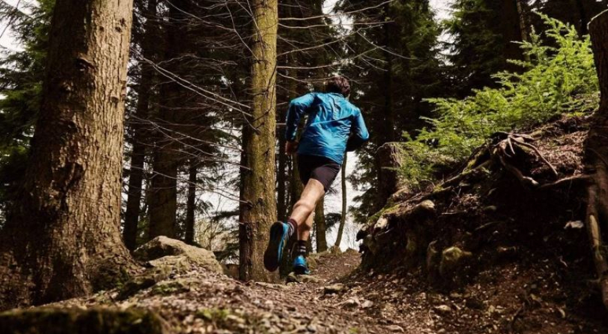 ����������� ������� � ���������-���������