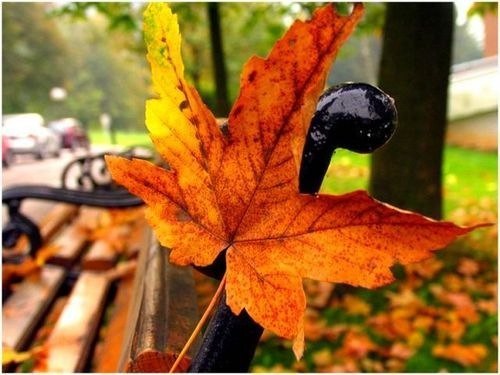 � �������� ������ ��������� ������������ ���������