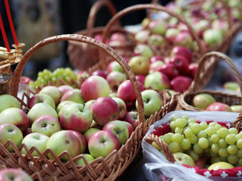 ����� 600 ������ ����������� ��������� ���� ������ ����� ��������� ��������� ���� �� ��� ���  