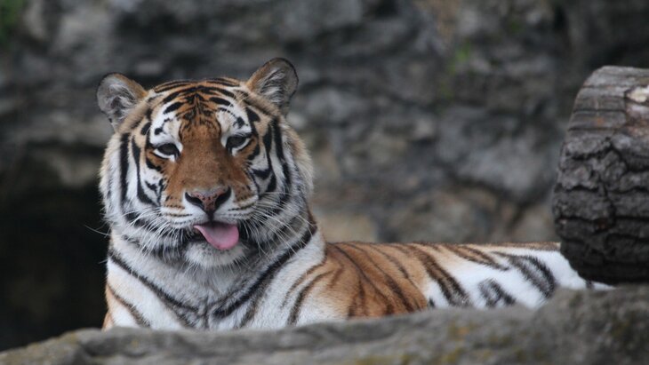 ���������� ������� ������� "������� ������" � 27 ������� �� 3 �����