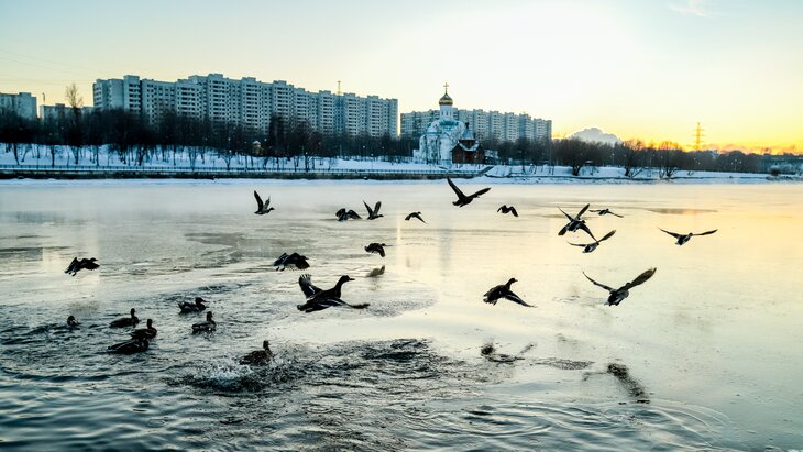 �������� �������� ���������� � ������� � ������ ����������������� �����