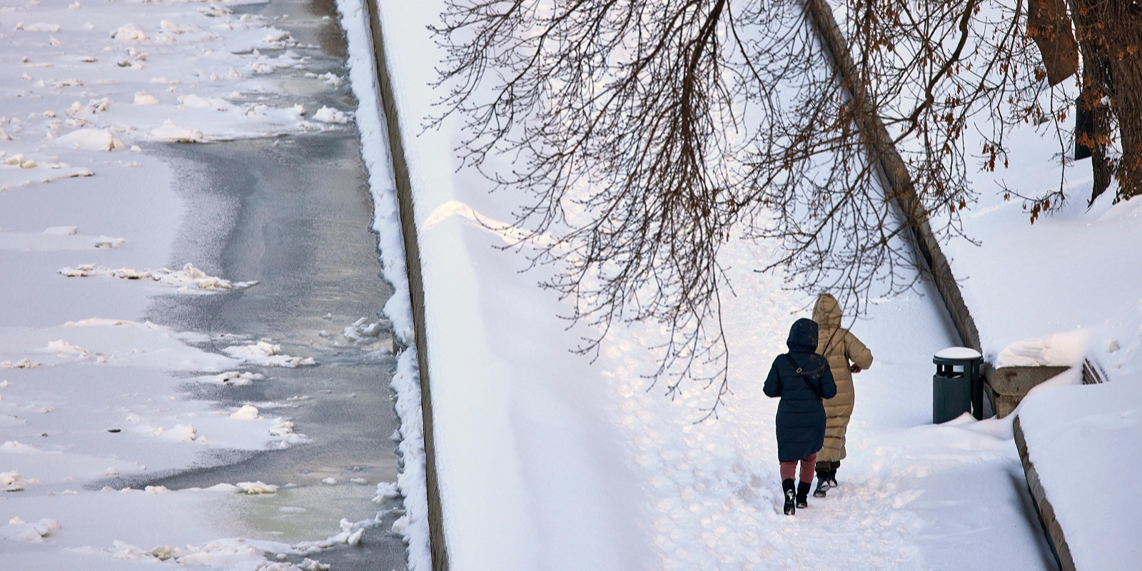 ���������� ������������ � 30-��������� ������� � ��������� ������� � �����������