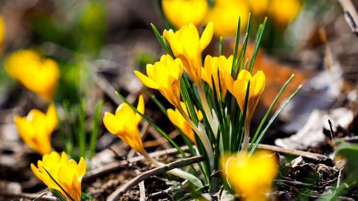 ��������� ����������, ����� ���������� ����������� �� ����