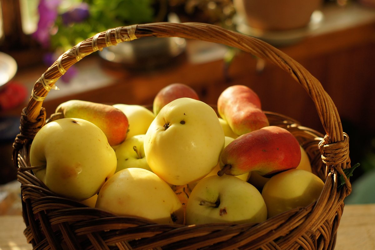 �������� ���� � ��������